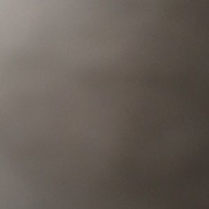 Meet your Posher, Treystin